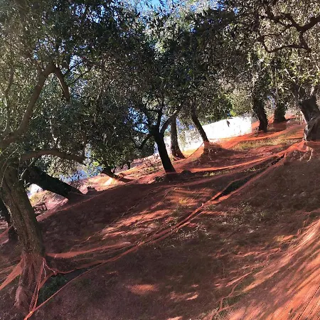 Nyaraló Foglie D'argento Moneglia