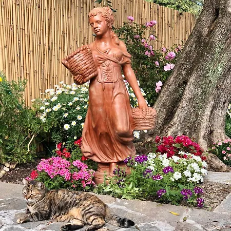 Foglie D'argento 度假居 *