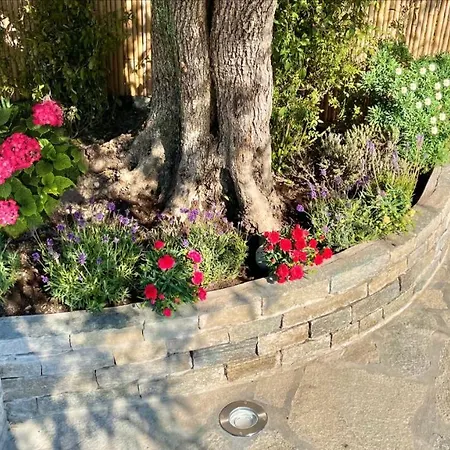 度假居 Foglie D'argento 莫内利亚