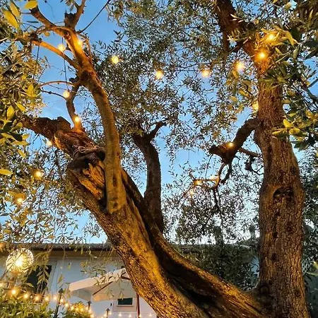 Foglie D'argento 度假居 莫内利亚