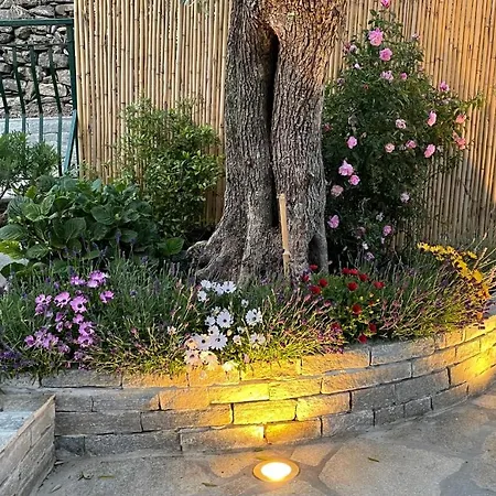 Hébergement de vacances Foglie D'argento *